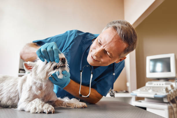 Best Emergency Tooth Extraction in Greenbriar, VA